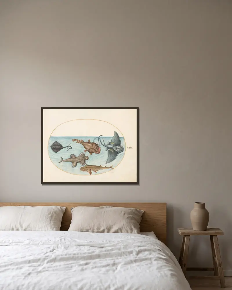 Plate 13; Two Stingrays, an Anglerfish, a Monkfish and an Angel Shark av Joris Hoefnagel inramad på en vägg