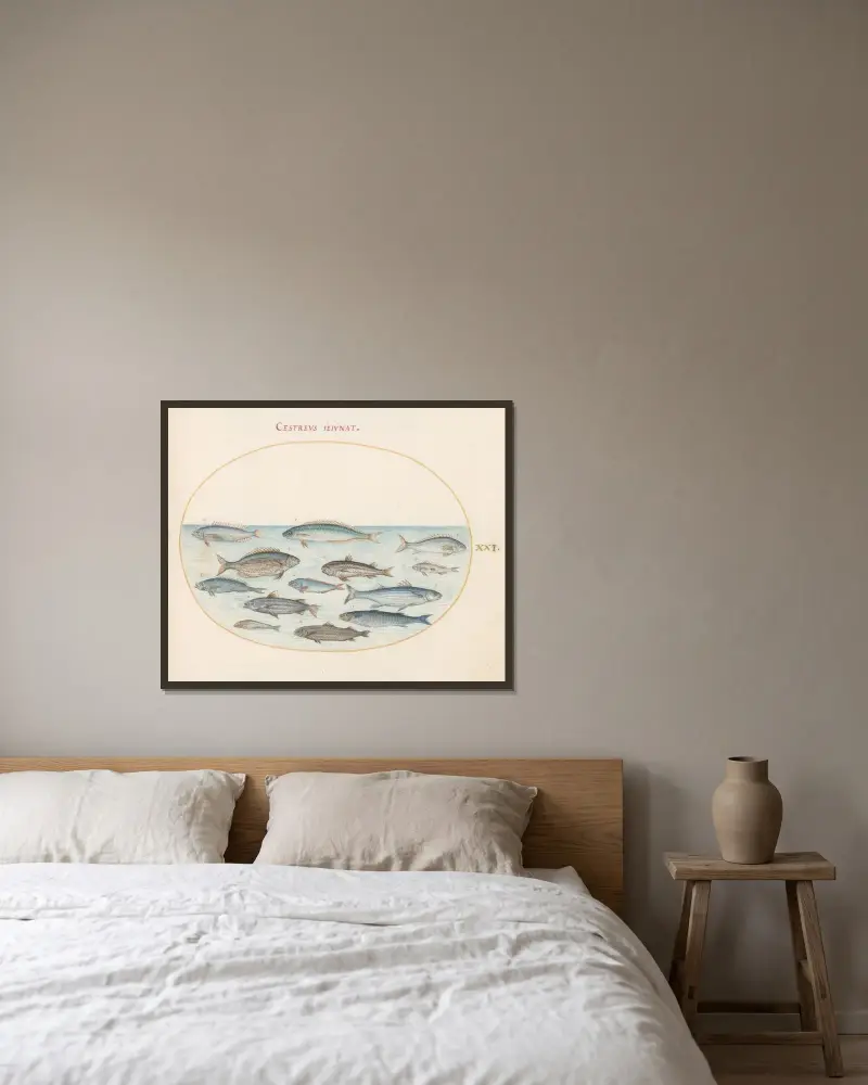 Tavla 21; Torsk och andra fiskar av Joris Hoefnagel inramad på en vägg