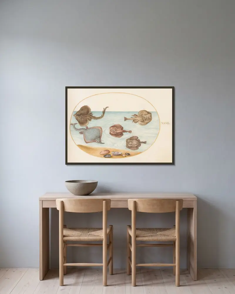 Blad 31; Marmorerad elektrisk rocka med andra rockor, snäckor och en mollusk i sitt skal av Joris Hoefnagel inramad på en vägg