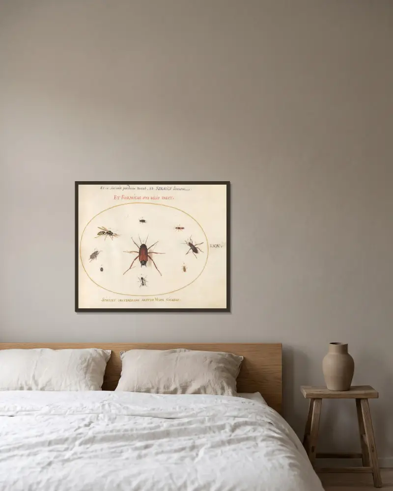 Tavla 70; En kackerlacka omgiven av insekter av Joris Hoefnagel inramad på en vägg
