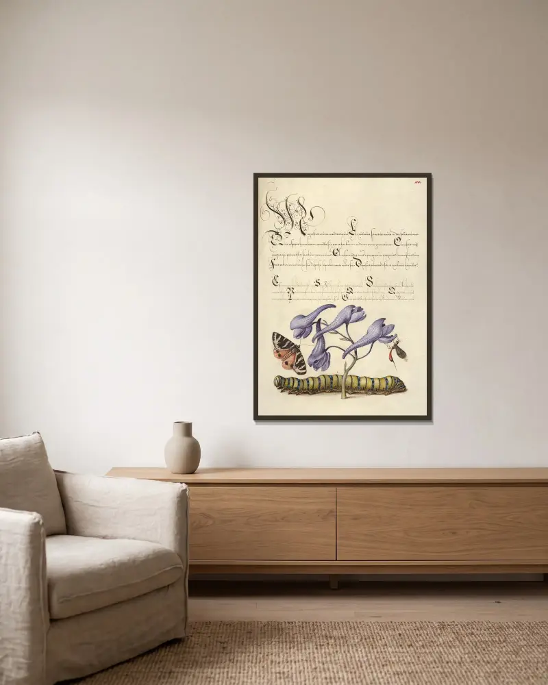 Röd tigerstjärt, riddarsporre, insekt och larv av Joris Hoefnagel inramad på en vägg