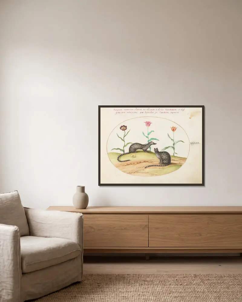 Two Genets or Civet Cats with Tulips av Joris Hoefnagel inramad på en vägg
