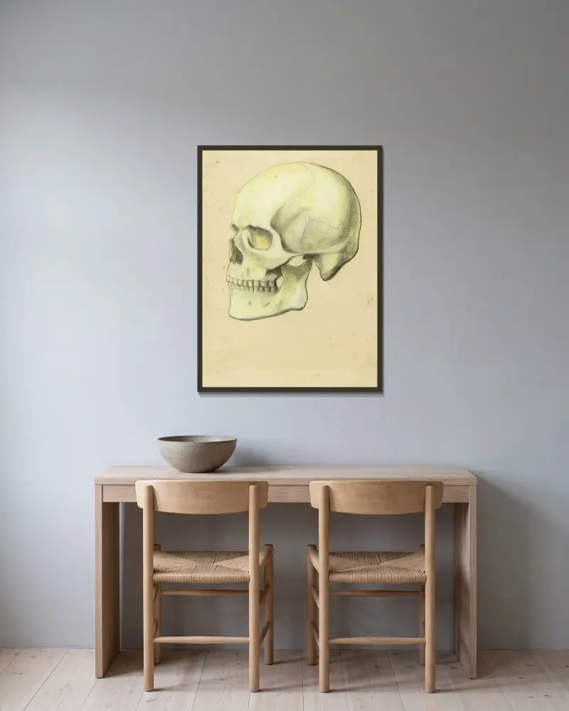 Två anatomiska studier. Människokranium av Arthur-Joseph Gueniot inramad på en vägg