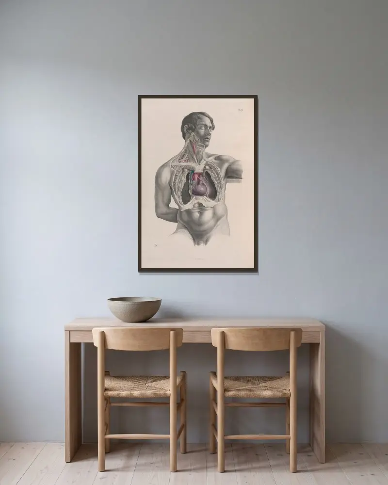Surgical anatomy Pl.02 av Joseph Maclise inramad på en vägg