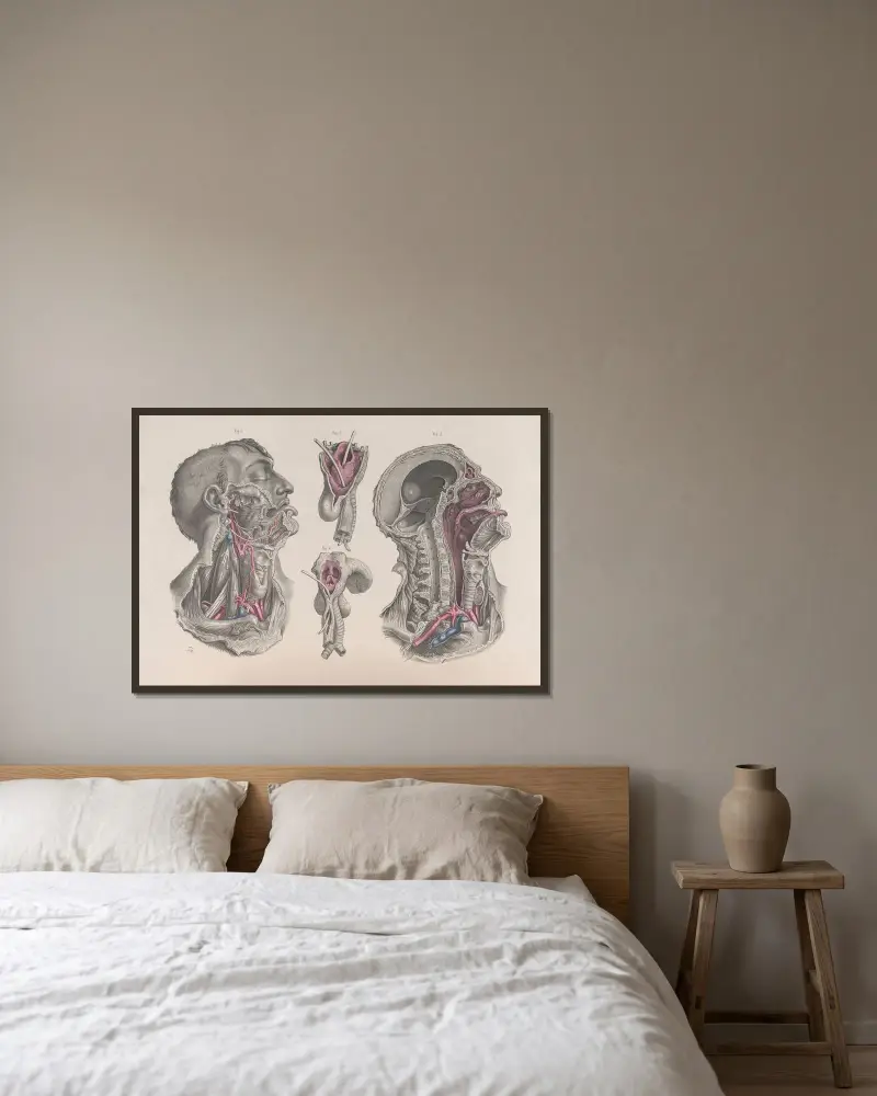 Surgical anatomy Pl.20 av Joseph Maclise inramad på en vägg