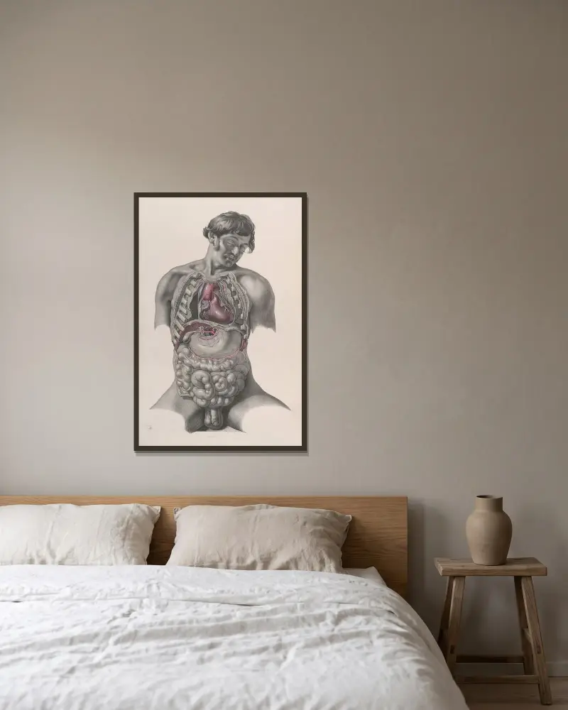 Surgical anatomy Pl.22 av Joseph Maclise inramad på en vägg