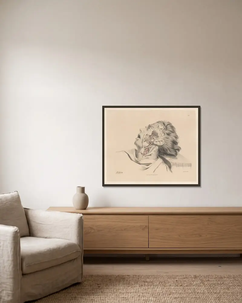Inre maxillarisartären av Joseph Maclise inramad på en vägg