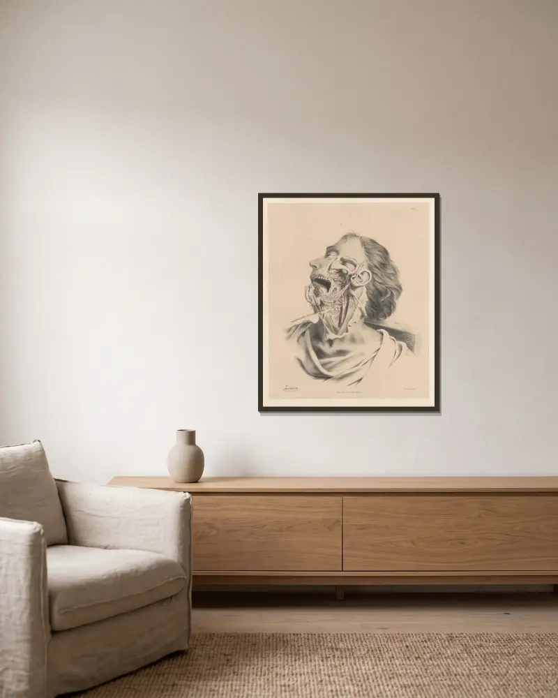 Tungans, svalgets och den inre halspulsåderns artärer av Joseph Maclise inramad på en vägg
