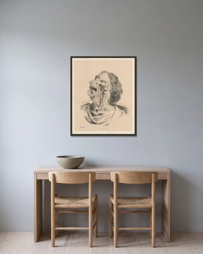 Tungans, svalgets och den inre halspulsåderns artärer av Joseph Maclise inramad på en vägg