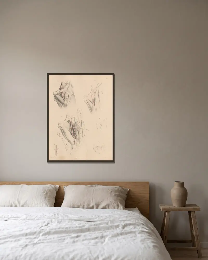 Various forms of the Deep Femoral artery av Joseph Maclise inramad på en vägg