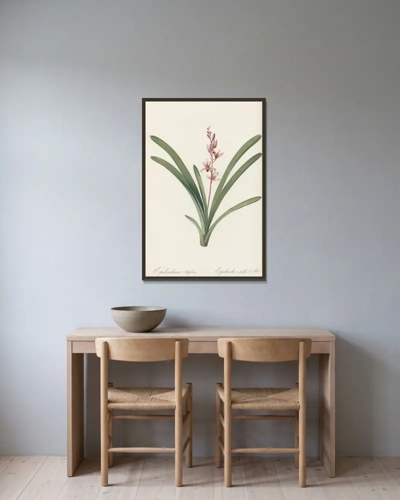 Epidendrum aloifolium, Pierre Joseph Redouté w ramie na ścianie