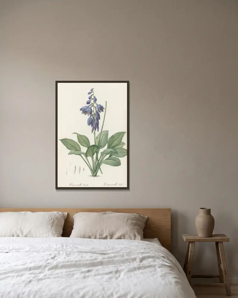 Hemerocallis Caerulea, Pierre Joseph Redouté w ramie na ścianie