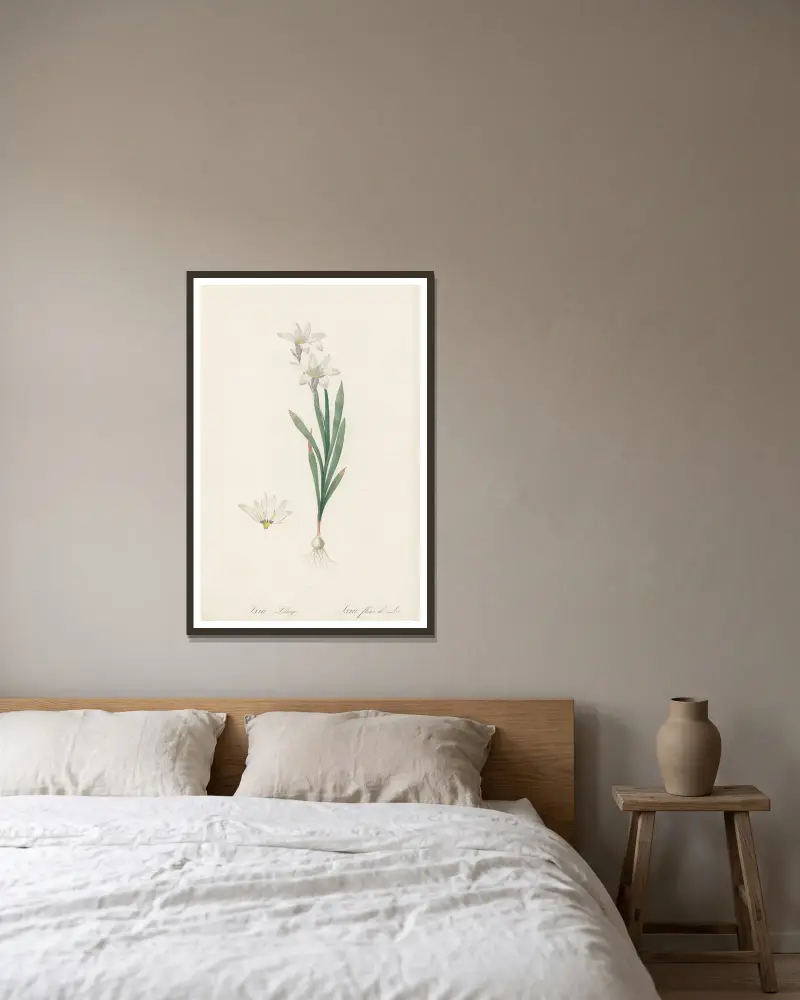 Ixia Liliago, Pierre Joseph Redouté w ramie na ścianie
