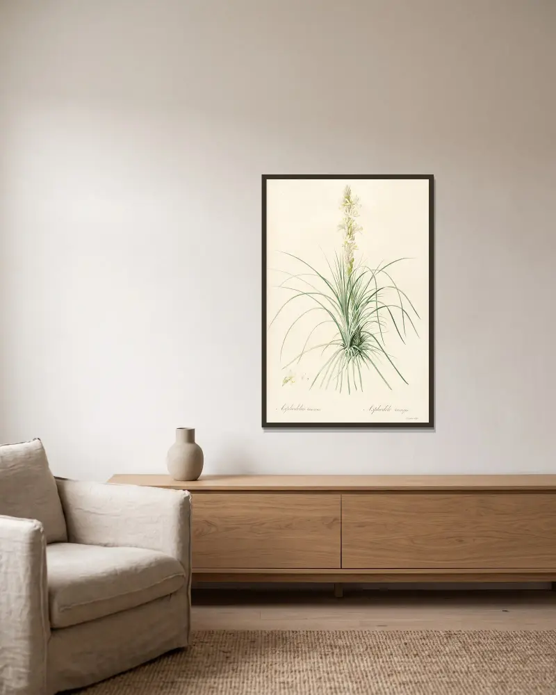 Die Liliengewächse, Tafel 49 von Pierre Joseph Redouté gerahmt an einer Wand