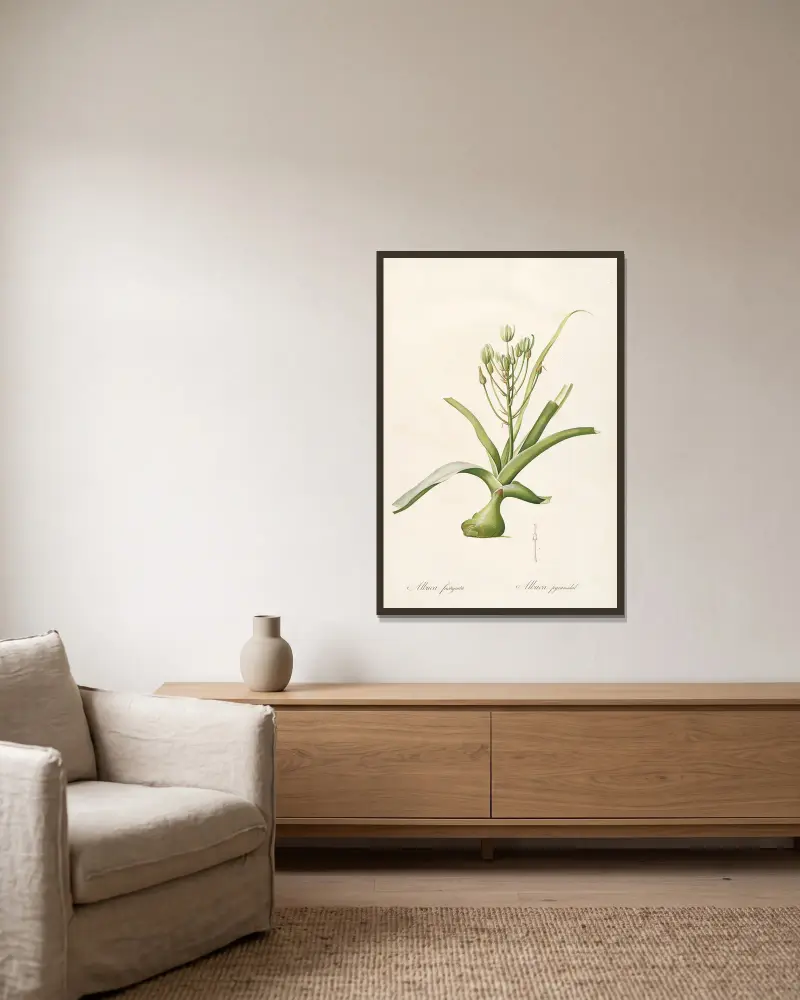 Die Liliengewächse, Tafel 53 von Pierre Joseph Redouté gerahmt an einer Wand