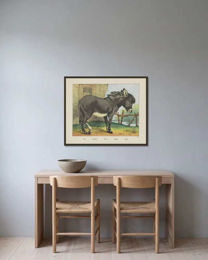 Donkey av Joseph Scholz inramad på en vägg