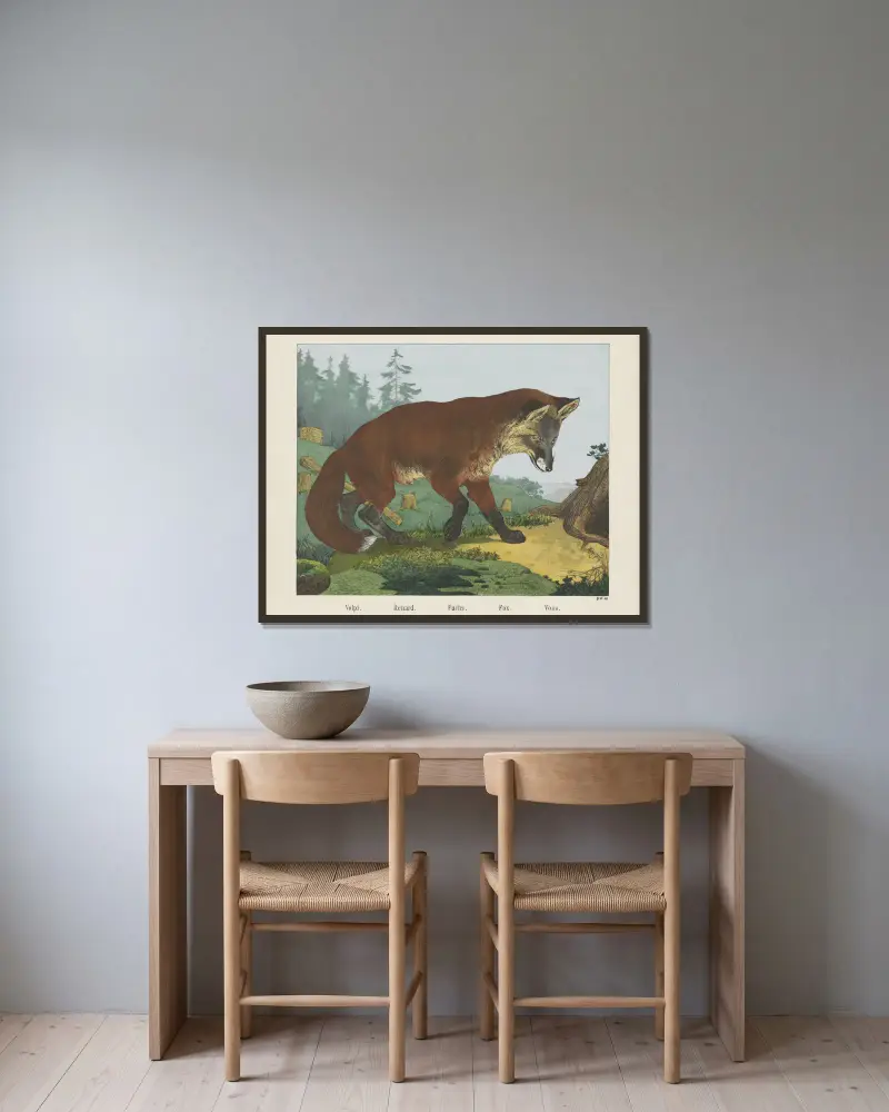 Liška, Joseph Scholz v rámu na stěně