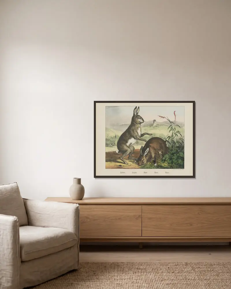 Hase von Joseph Scholz gerahmt an einer Wand