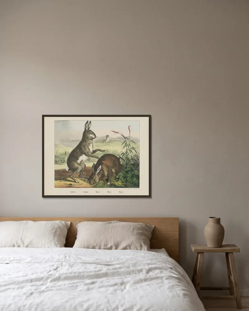 Hase von Joseph Scholz gerahmt an einer Wand