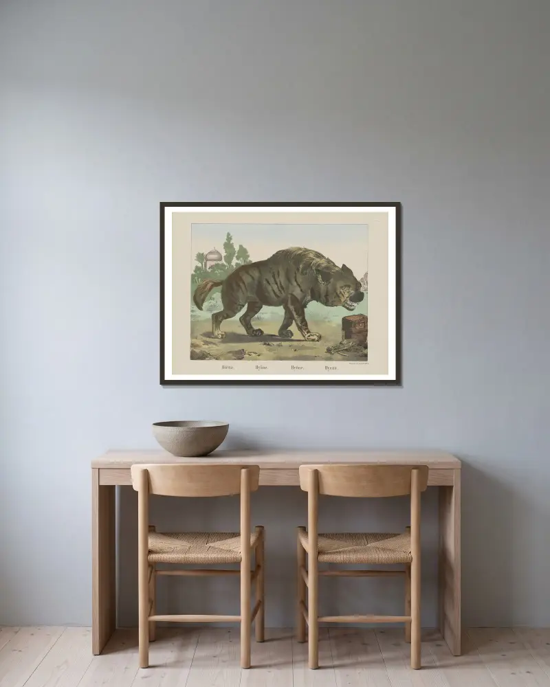 Hyena, Joseph Scholz v rámu na stěně