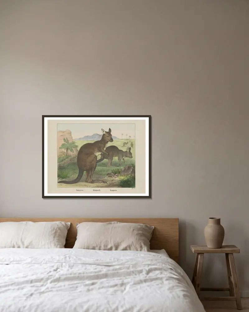 Känguru von Joseph Scholz gerahmt an einer Wand