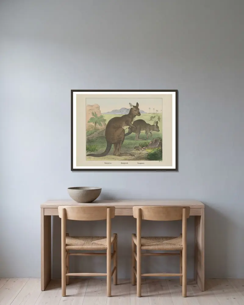 Känguru von Joseph Scholz gerahmt an einer Wand