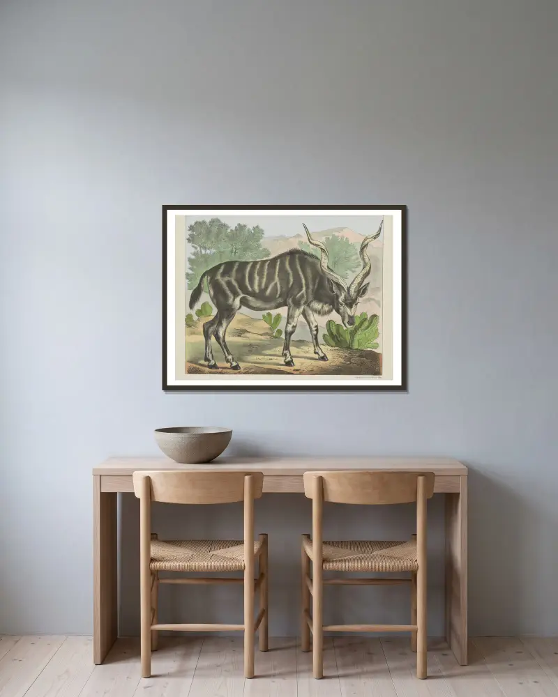 Kudu, Joseph Scholz v rámu na stěně