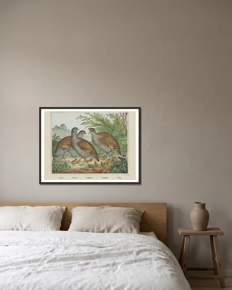 Rebhühner von Joseph Scholz gerahmt an einer Wand