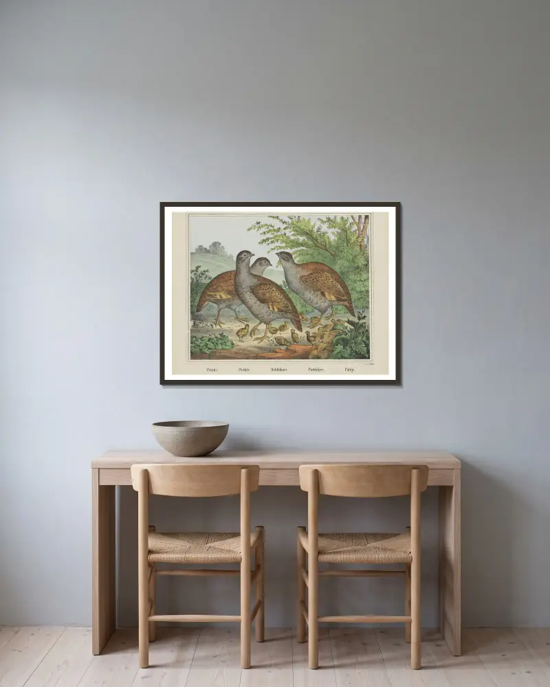 Rebhühner von Joseph Scholz gerahmt an einer Wand