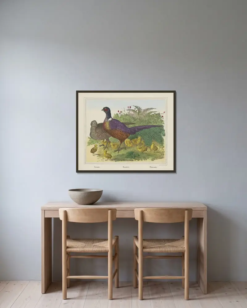 Pheasants av Joseph Scholz inramad på en vägg