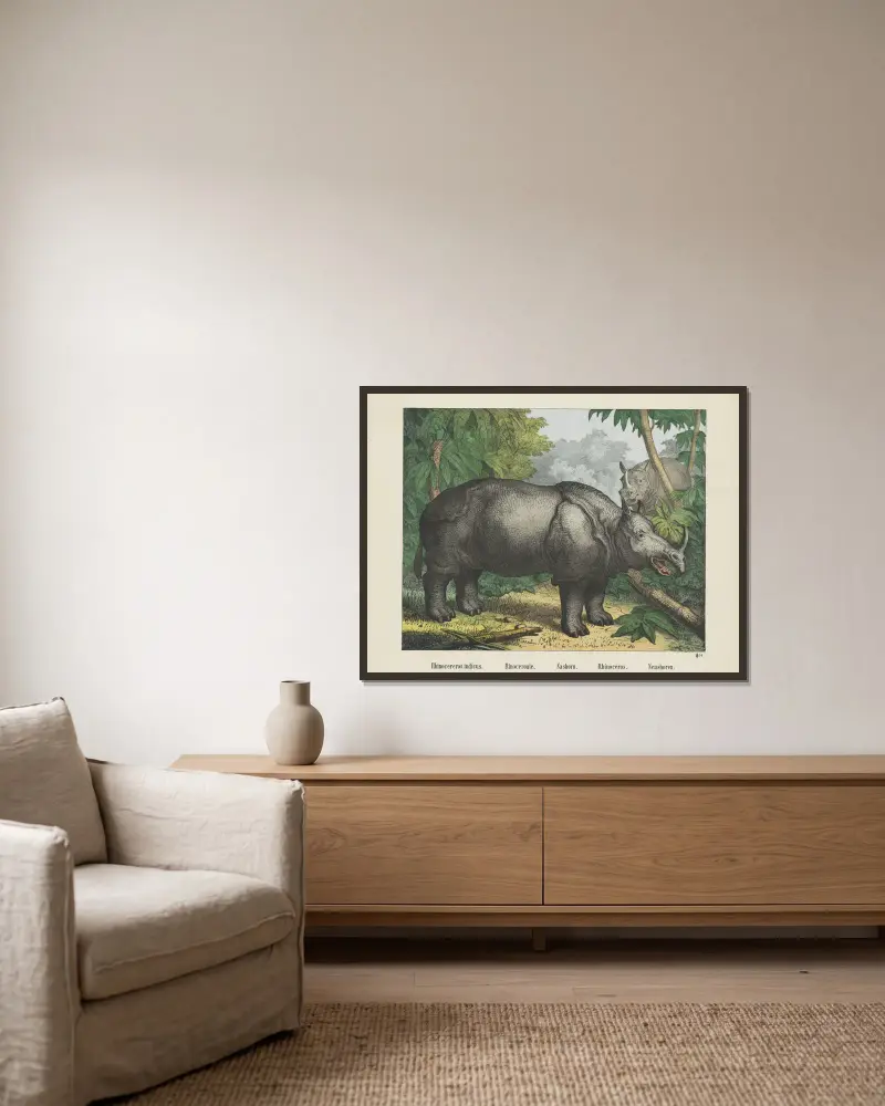 Nashorn von Joseph Scholz gerahmt an einer Wand