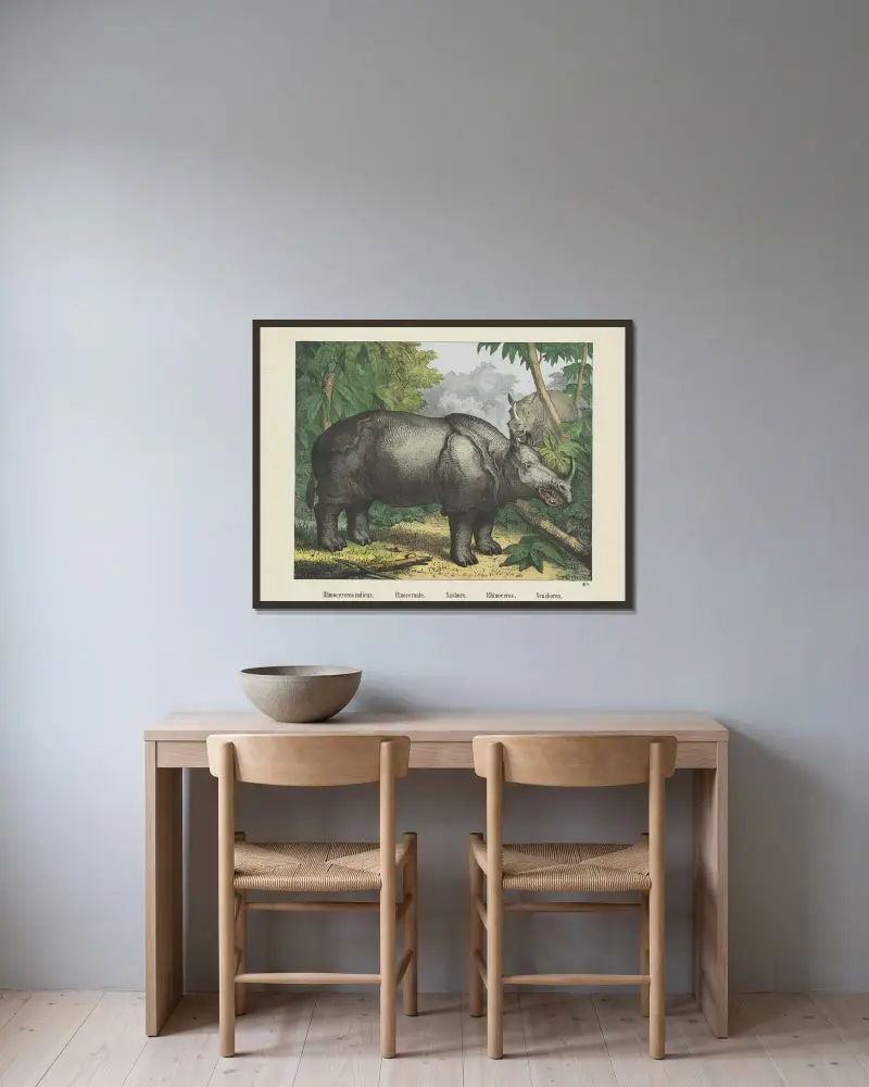 Nashorn von Joseph Scholz gerahmt an einer Wand