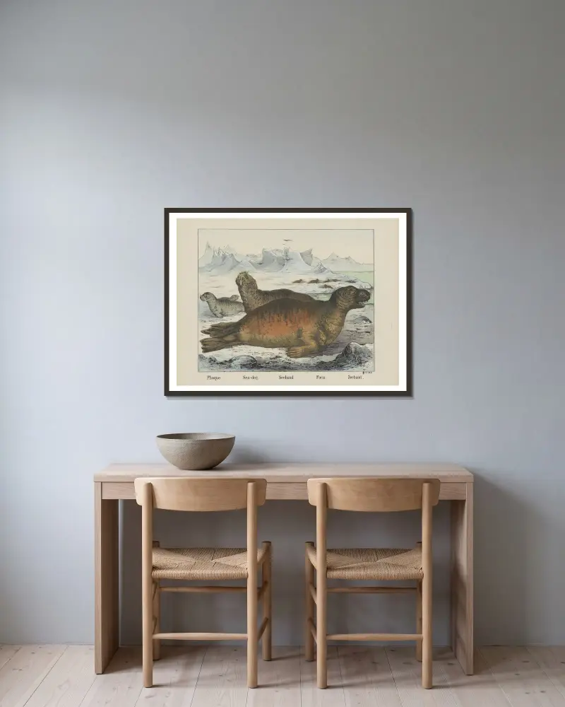 Seehund von Joseph Scholz gerahmt an einer Wand