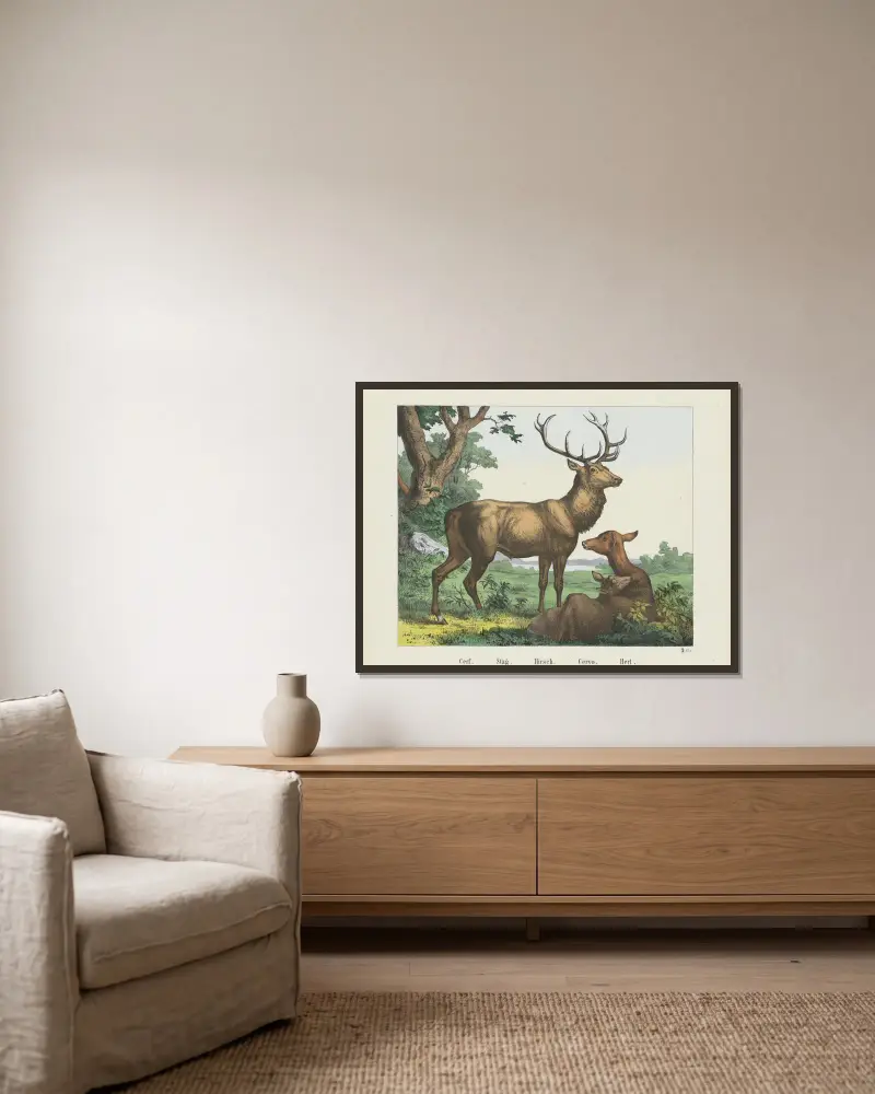Stag, Joseph Scholz v rámu na stěně