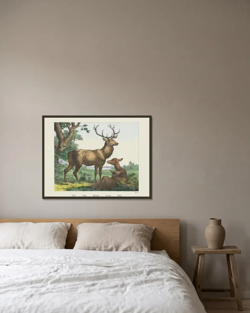 Stag, Joseph Scholz v rámu na stěně