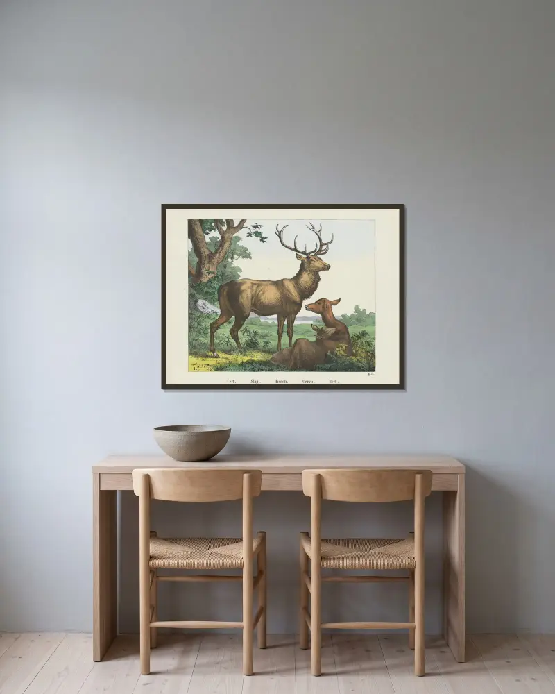 Stag, Joseph Scholz v rámu na stěně