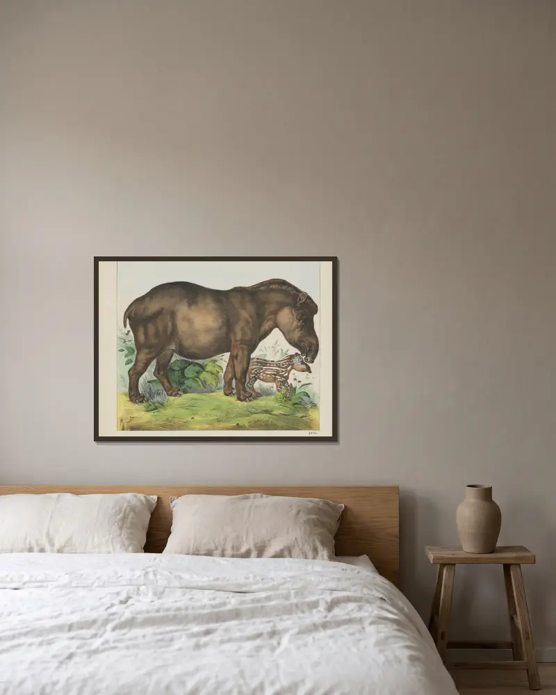 Tapir von Joseph Scholz gerahmt an einer Wand