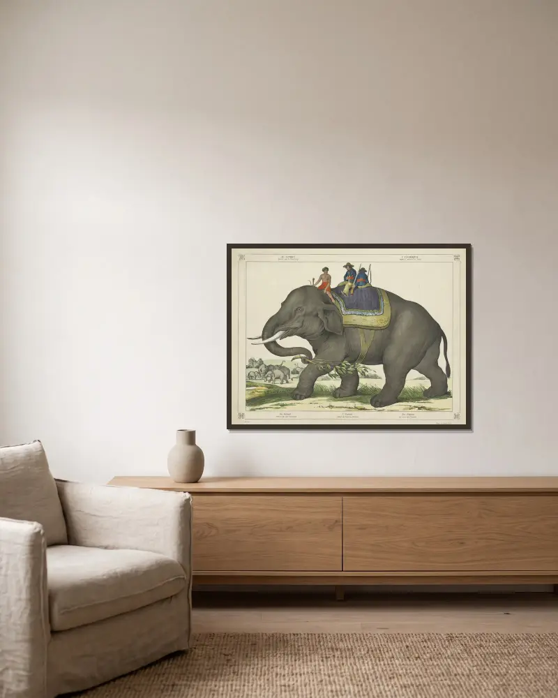 Der Elefant von Joseph Scholz gerahmt an einer Wand