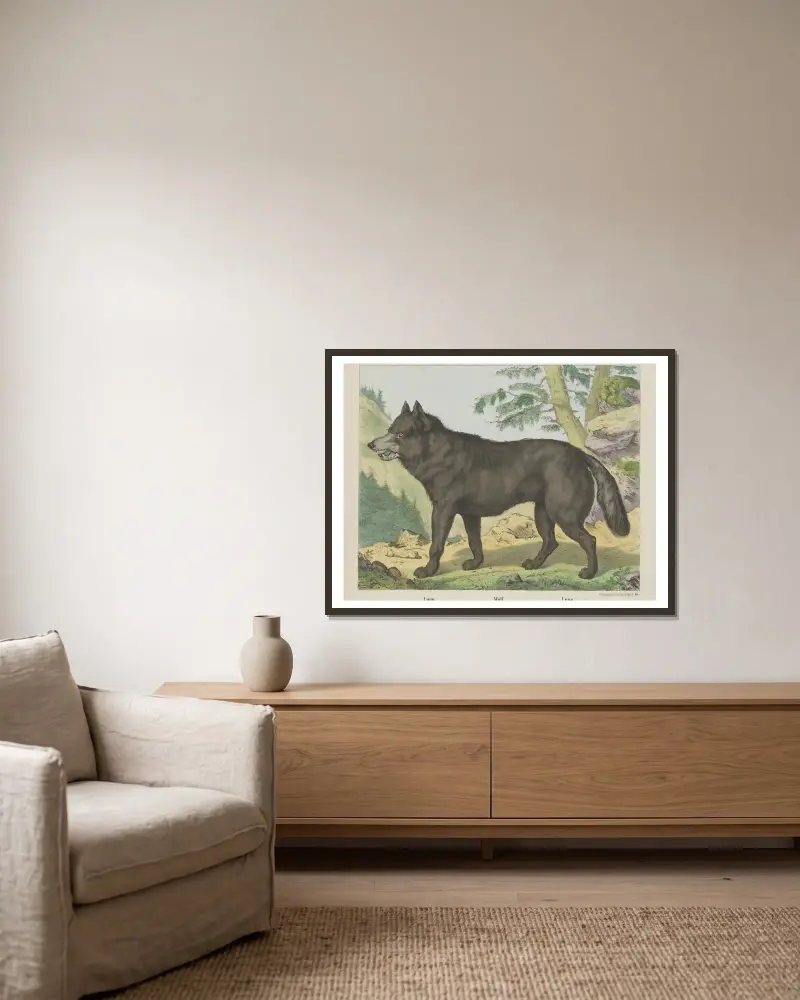 Wolf von Joseph Scholz gerahmt an einer Wand