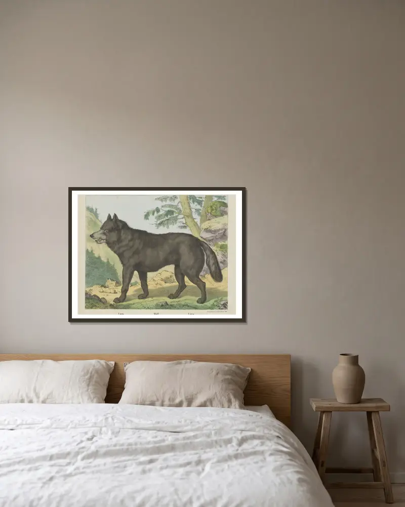 Wolf von Joseph Scholz gerahmt an einer Wand