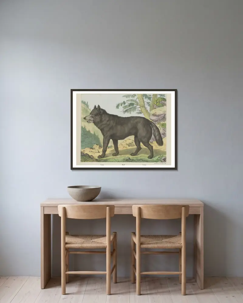 Wolf von Joseph Scholz gerahmt an einer Wand