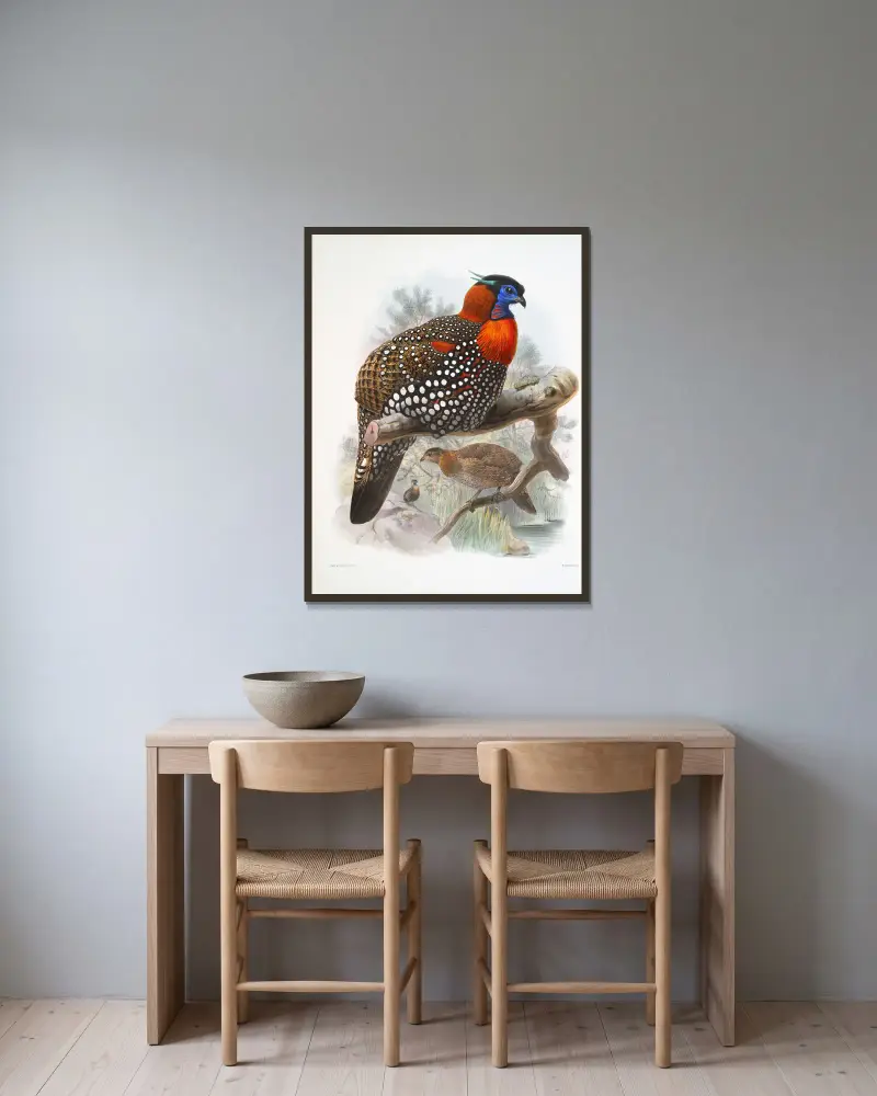 Ceriornis melanocephala von Joseph Smit gerahmt an einer Wand
