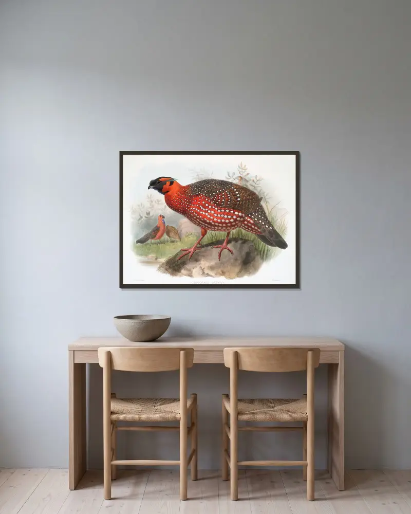 Ceriornis satyra von Joseph Smit gerahmt an einer Wand