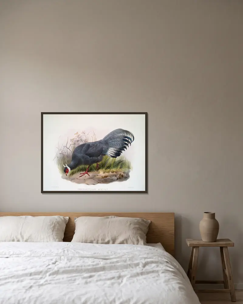 Crossoptilon auritum von Joseph Smit gerahmt an einer Wand