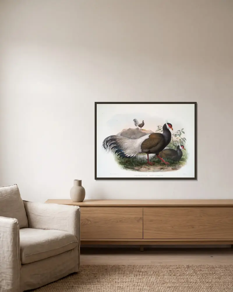 Crossoptilon mantchuricum von Joseph Smit gerahmt an einer Wand