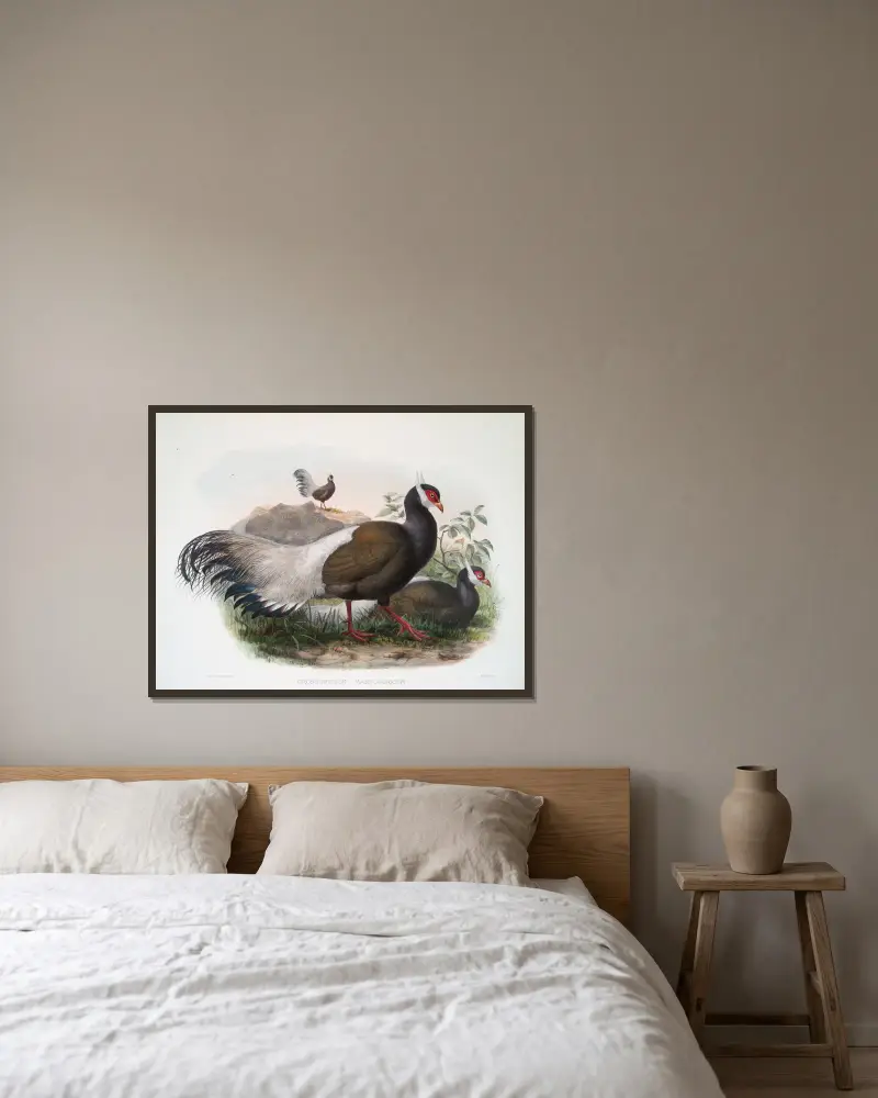 Crossoptilon mantchuricum von Joseph Smit gerahmt an einer Wand