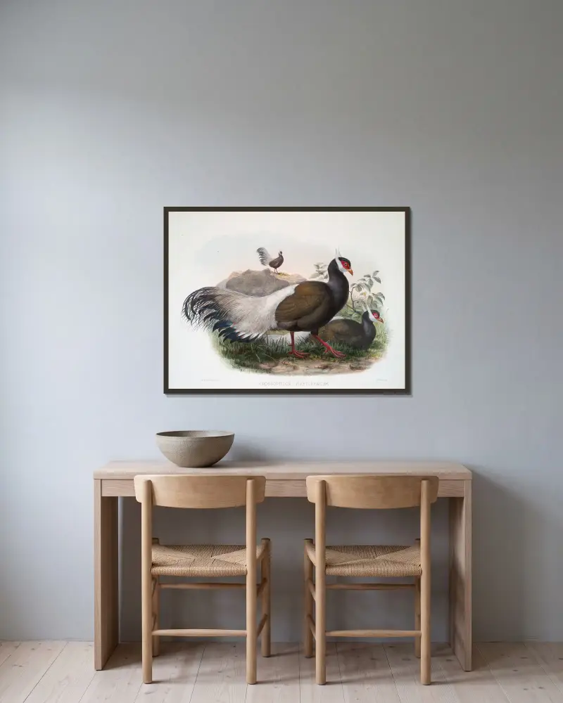 Crossoptilon mantchuricum von Joseph Smit gerahmt an einer Wand