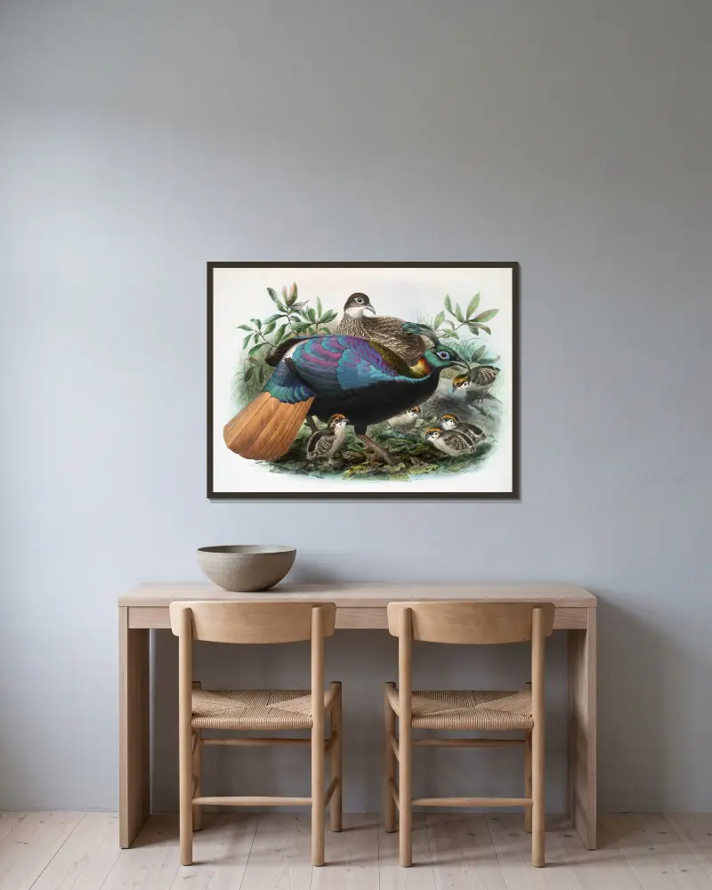 Lophophorus Impeyanus. av Joseph Smit inramad på en vägg