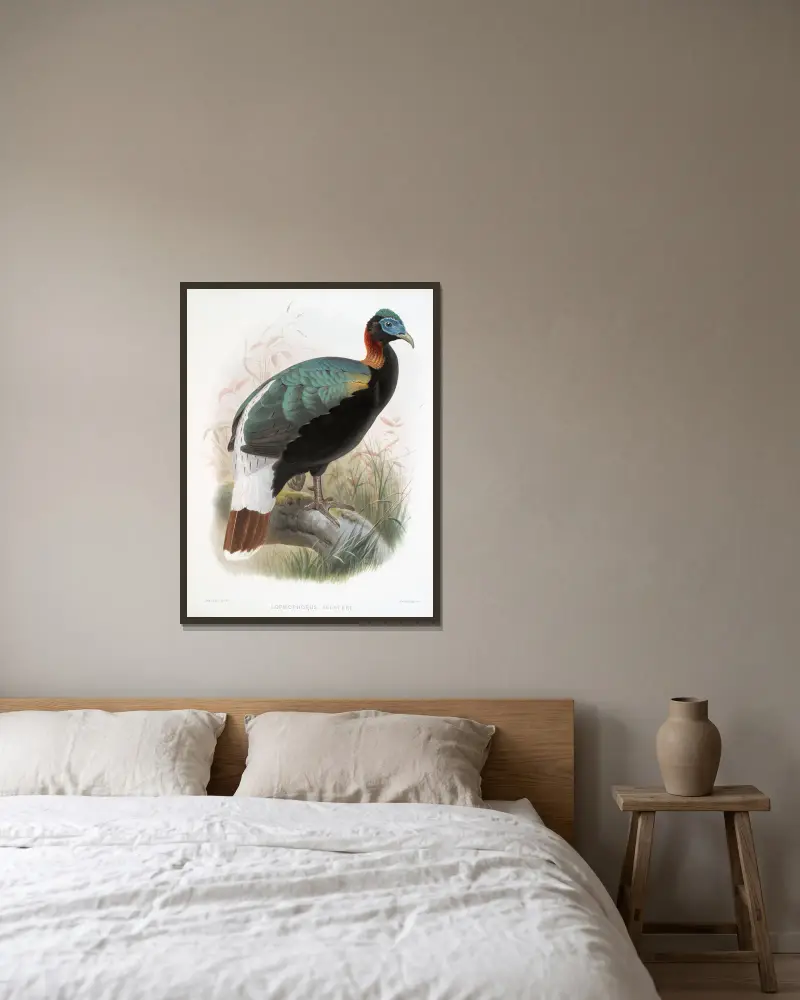 Lophophorus Sclateri von Joseph Smit gerahmt an einer Wand