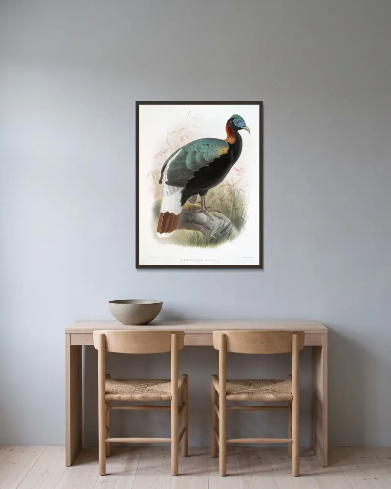 Lophophorus Sclateri von Joseph Smit gerahmt an einer Wand